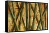 Bamboo Forest I-Patricia Pinto-Framed Stretched Canvas