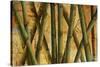 Bamboo Forest I-Patricia Pinto-Stretched Canvas