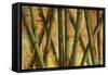 Bamboo Forest I-Patricia Pinto-Framed Stretched Canvas