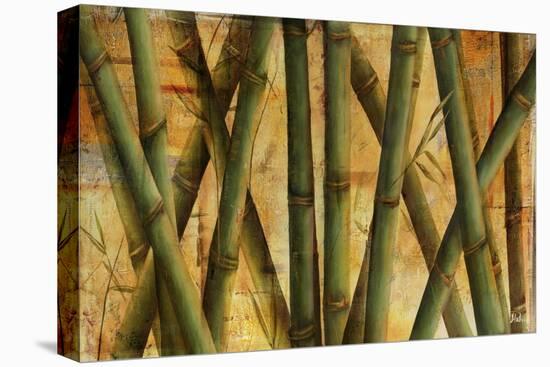 Bamboo Forest I-Patricia Pinto-Stretched Canvas