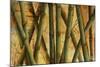 Bamboo Forest I-Patricia Pinto-Mounted Premium Giclee Print