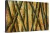 Bamboo Forest II-Patricia Pinto-Stretched Canvas