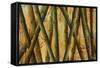 Bamboo Forest II-Patricia Pinto-Framed Stretched Canvas