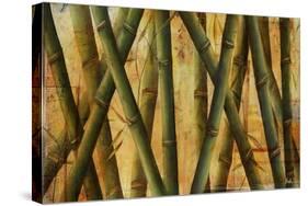 Bamboo Forest II-Patricia Pinto-Stretched Canvas