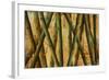 Bamboo Forest II-Patricia Pinto-Framed Premium Giclee Print