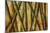 Bamboo Forest II-Patricia Pinto-Mounted Premium Giclee Print