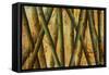 Bamboo Forest II-Patricia Pinto-Framed Stretched Canvas