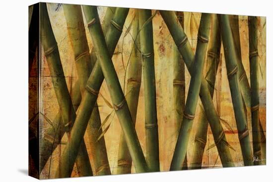 Bamboo Forest II-Patricia Pinto-Stretched Canvas