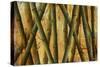 Bamboo Forest II-Patricia Pinto-Stretched Canvas