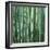 Bamboo Forest in Kyoto-Micha Pawlitzki-Framed Premium Photographic Print