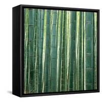 Bamboo Forest in Kyoto-Micha Pawlitzki-Framed Stretched Canvas