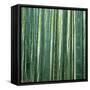 Bamboo Forest in Kyoto-Micha Pawlitzki-Framed Stretched Canvas