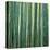 Bamboo Forest in Kyoto-Micha Pawlitzki-Stretched Canvas