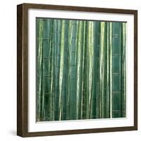 Bamboo Forest in Kyoto-Micha Pawlitzki-Framed Photographic Print