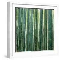 Bamboo Forest in Kyoto-Micha Pawlitzki-Framed Photographic Print