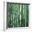 Bamboo Forest in Kyoto-Micha Pawlitzki-Framed Photographic Print