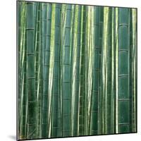 Bamboo Forest in Kyoto-Micha Pawlitzki-Mounted Photographic Print