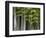 Bamboo Forest in Sagano-Rudy Sulgan-Framed Photographic Print