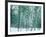 Bamboo Forest in Snow, Nishiyama, Kyoto, Japan-null-Framed Photographic Print