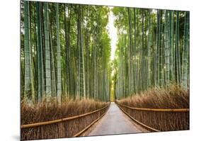 Bamboo Forest, Kyoto, Japan-Pangea Images-Mounted Giclee Print