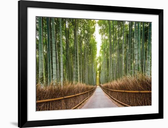 Bamboo Forest, Kyoto, Japan-Pangea Images-Framed Giclee Print