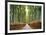 Bamboo Forest, Kyoto, Japan-Pangea Images-Framed Giclee Print