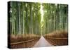 Bamboo Forest, Kyoto, Japan-Pangea Images-Stretched Canvas