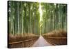 Bamboo Forest, Kyoto, Japan-Pangea Images-Stretched Canvas