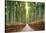 Bamboo Forest, Kyoto, Japan-Pangea Images-Stretched Canvas