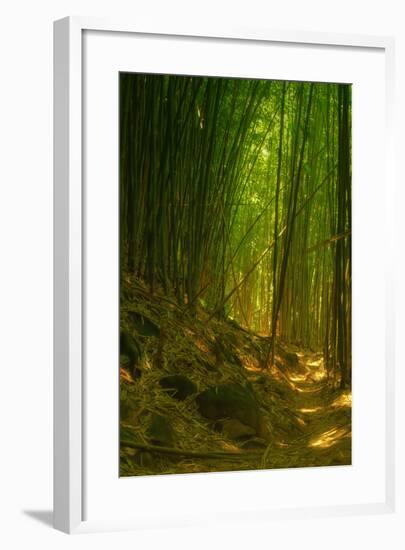 Bamboo Forest, Maui-Vincent James-Framed Photographic Print