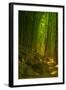Bamboo Forest, Maui-Vincent James-Framed Photographic Print