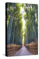 Bamboo Forest of Kyoto, Japan.-SeanPavonePhoto-Stretched Canvas