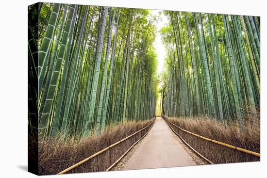 Bamboo Forest of Kyoto, Japan.-SeanPavonePhoto-Stretched Canvas