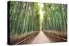 Bamboo Forest of Kyoto, Japan.-SeanPavonePhoto-Stretched Canvas