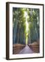 Bamboo Forest of Kyoto, Japan.-SeanPavonePhoto-Framed Photographic Print