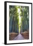 Bamboo Forest of Kyoto, Japan.-SeanPavonePhoto-Framed Photographic Print