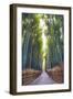 Bamboo Forest of Kyoto, Japan.-SeanPavonePhoto-Framed Photographic Print