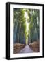 Bamboo Forest of Kyoto, Japan.-SeanPavonePhoto-Framed Photographic Print