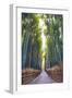 Bamboo Forest of Kyoto, Japan.-SeanPavonePhoto-Framed Photographic Print