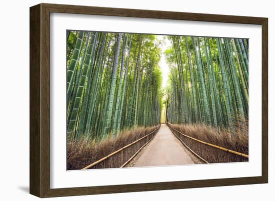 Bamboo Forest of Kyoto, Japan.-SeanPavonePhoto-Framed Photographic Print