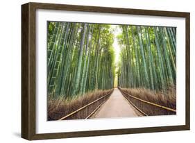 Bamboo Forest of Kyoto, Japan.-SeanPavonePhoto-Framed Photographic Print