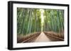 Bamboo Forest of Kyoto, Japan.-SeanPavonePhoto-Framed Photographic Print