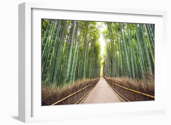 Bamboo Forest of Kyoto, Japan.-SeanPavonePhoto-Framed Photographic Print