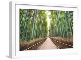 Bamboo Forest of Kyoto, Japan.-SeanPavonePhoto-Framed Photographic Print