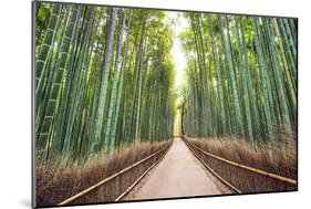 Bamboo Forest of Kyoto, Japan.-SeanPavonePhoto-Mounted Photographic Print