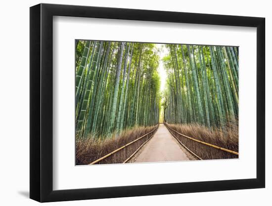 Bamboo Forest of Kyoto, Japan.-SeanPavonePhoto-Framed Photographic Print