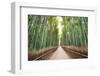 Bamboo Forest of Kyoto, Japan.-SeanPavonePhoto-Framed Photographic Print