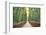 Bamboo Forest of Kyoto, Japan.-SeanPavonePhoto-Framed Photographic Print