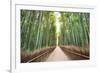 Bamboo Forest of Kyoto, Japan.-SeanPavonePhoto-Framed Photographic Print