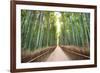 Bamboo Forest of Kyoto, Japan.-SeanPavonePhoto-Framed Photographic Print